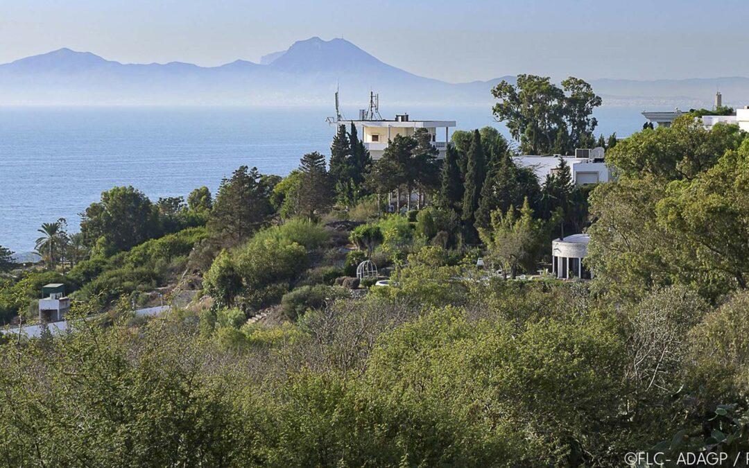 La Villa Baizeau à Carthage de Le Corbusier et Jeanneret