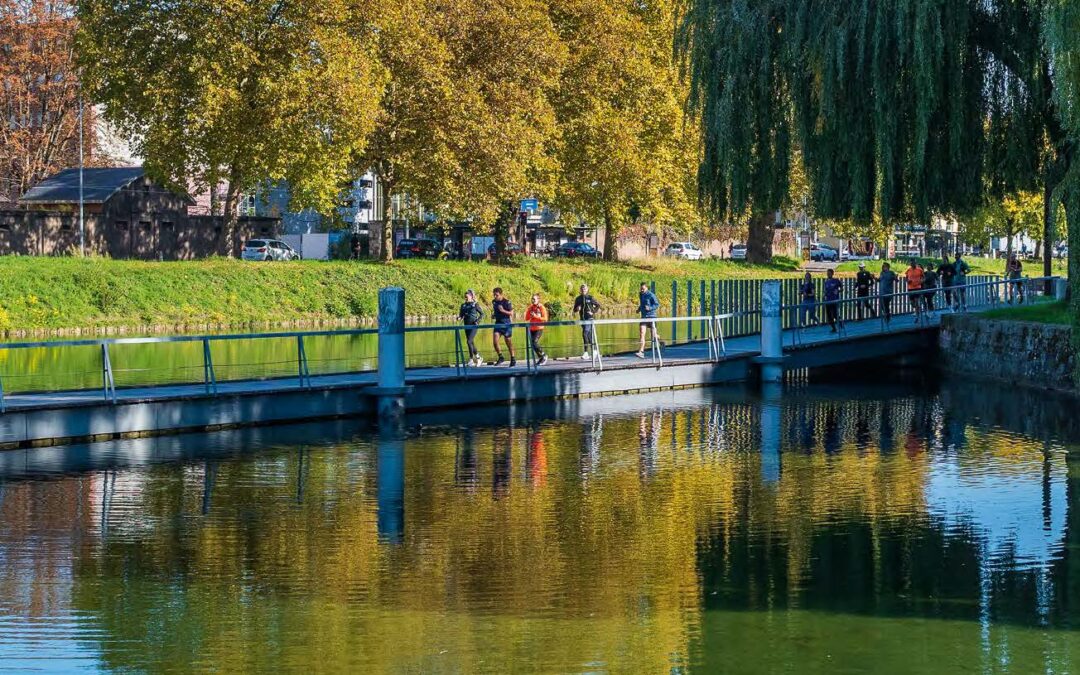 47em Rencontres des agences d’urbanisme, Sous le foncier, des sols vivants