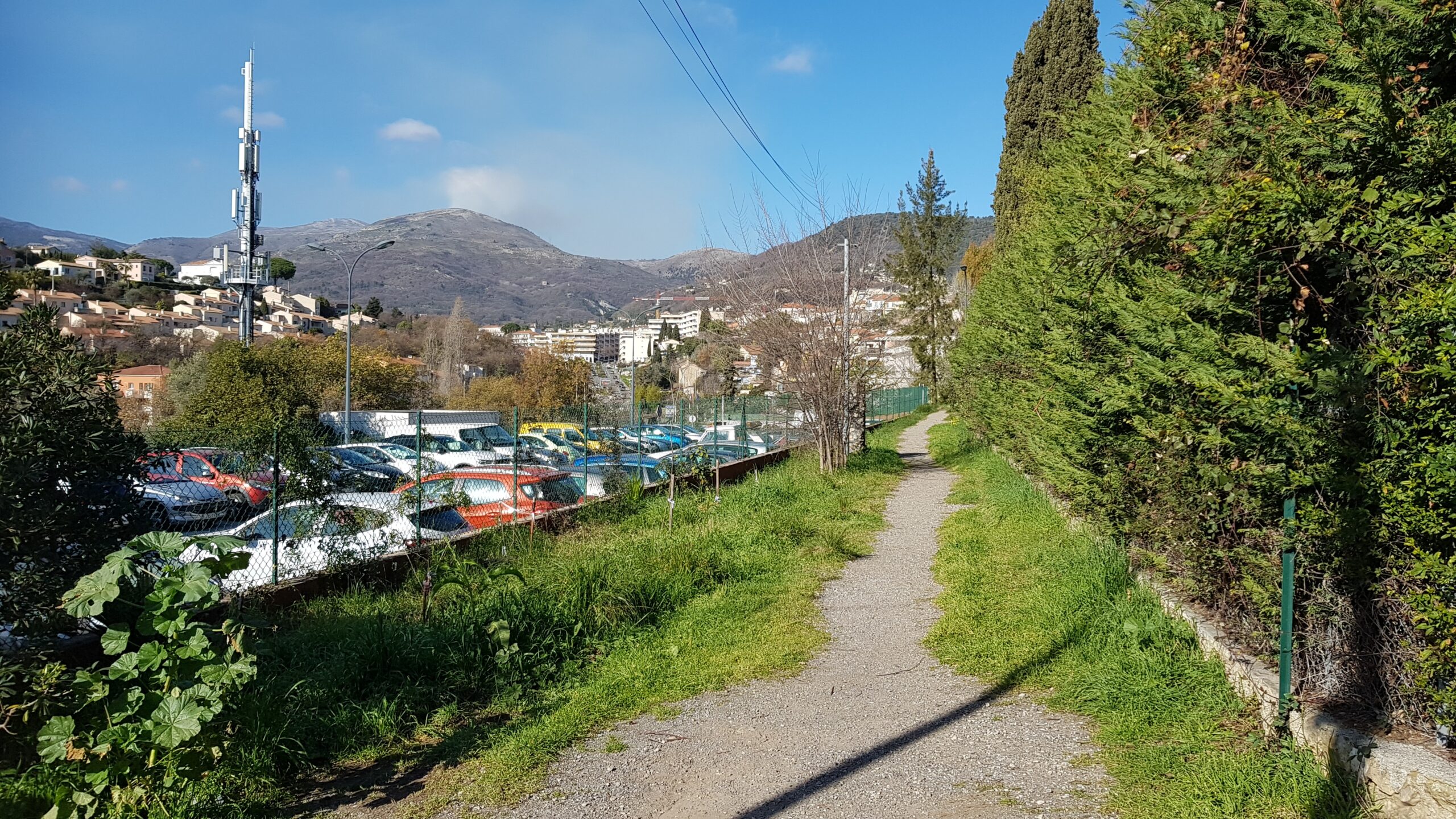 Atelier n°4 - Nature en ville
