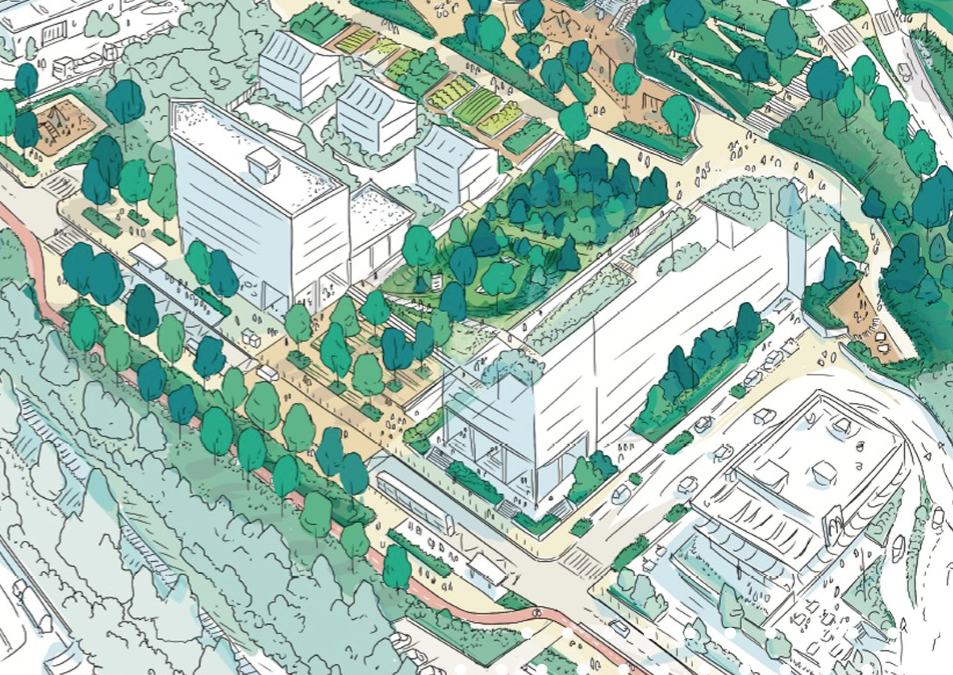 [COTECH] Lancement de l&rsquo;Évaluation d&rsquo;Impact sur la Santé du NPNRU des Liserons 🏙️🧩🏃‍♀️🩺